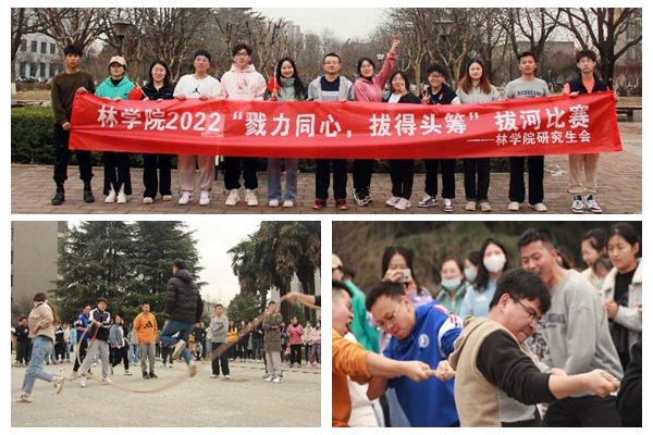 acd7a32a58f34c43a0611d986691b085.jpg 光影魔术手拼图.jpg