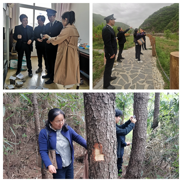 708e685086d34ecd9ef270e9010b7dd0.jpg 3.jpg