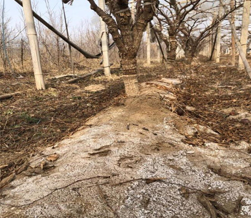 db87d1b454db4da4b87275e90b1fd8f0.jpg 31.jpg