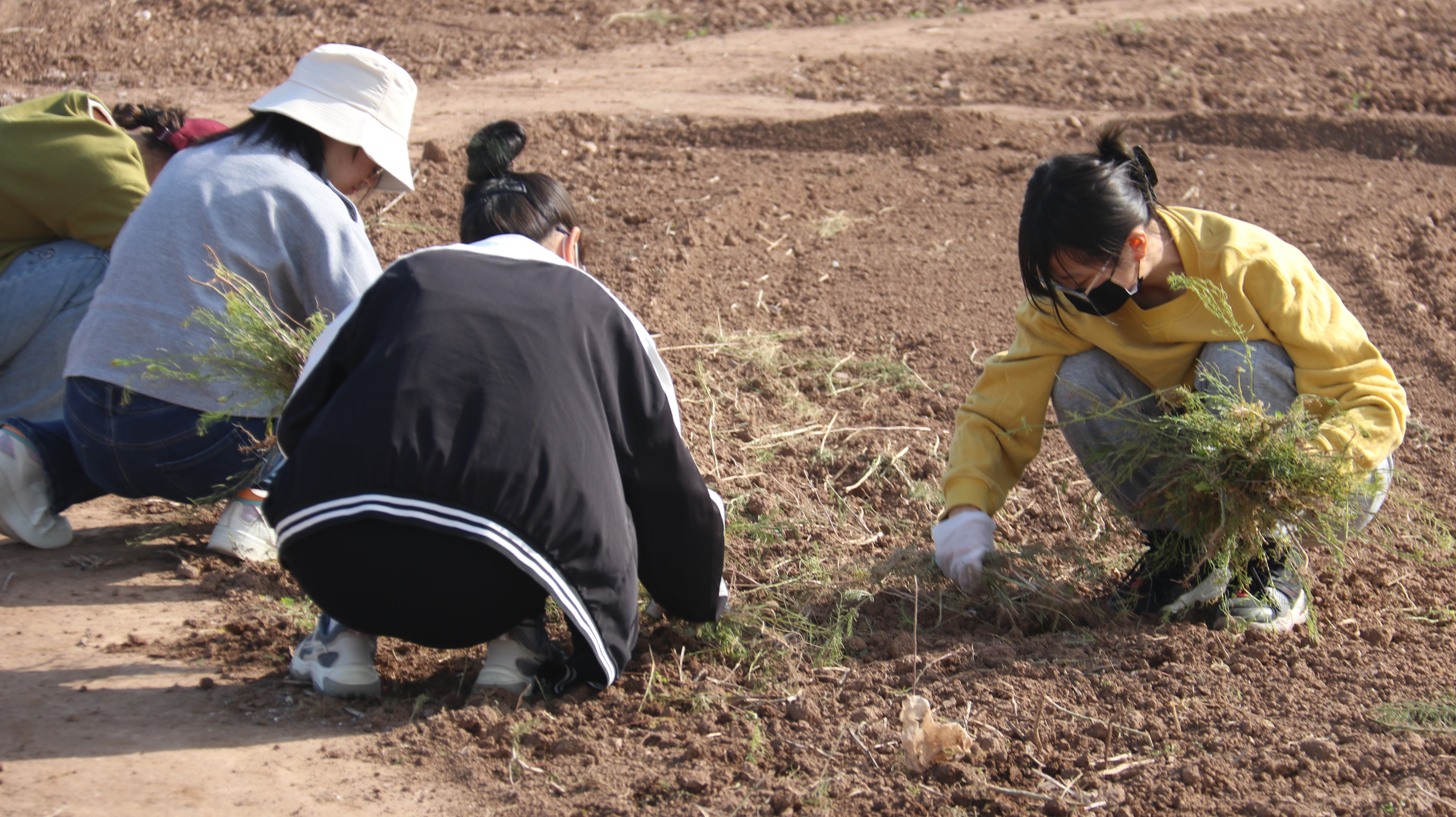 d6dd77fd80cd4bbfb84327d610c2ccbc.jpg d6dd77fd80cd4bbfb84327d610c2ccbc.jpg