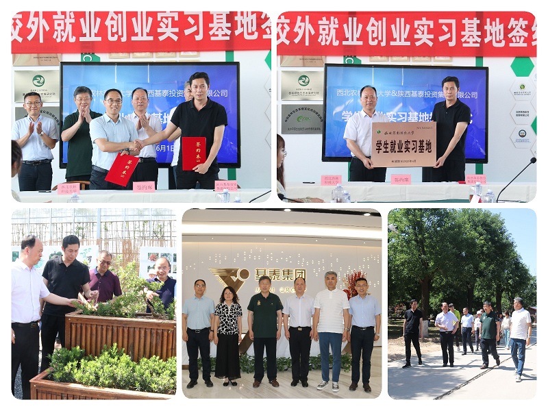 d2ad998886e04768abab13de97fbd3bb.jpg 稿定设计导出-20220606-115038 - 副本.jpg