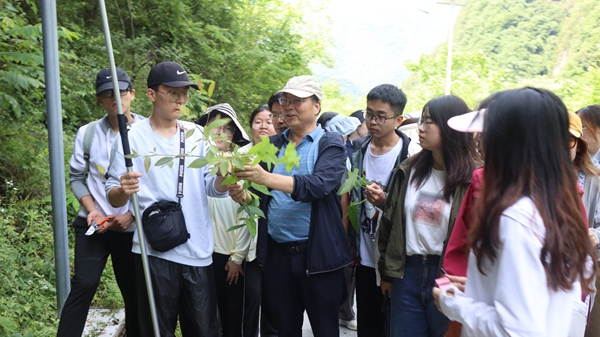 6a9ce201ad854dfd993c467f853ca2e1.jpg 7.jpg