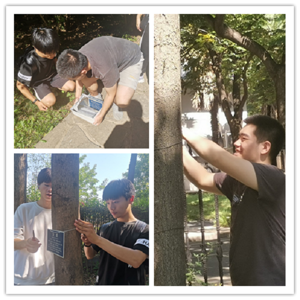 6aa403865e97424badb0a6d71c75b200.png 未命名.png