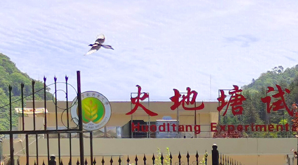 c8d1ec90f66b42af8e10a661662c9149.jpg 喜鹊飞过林场标志11.jpg