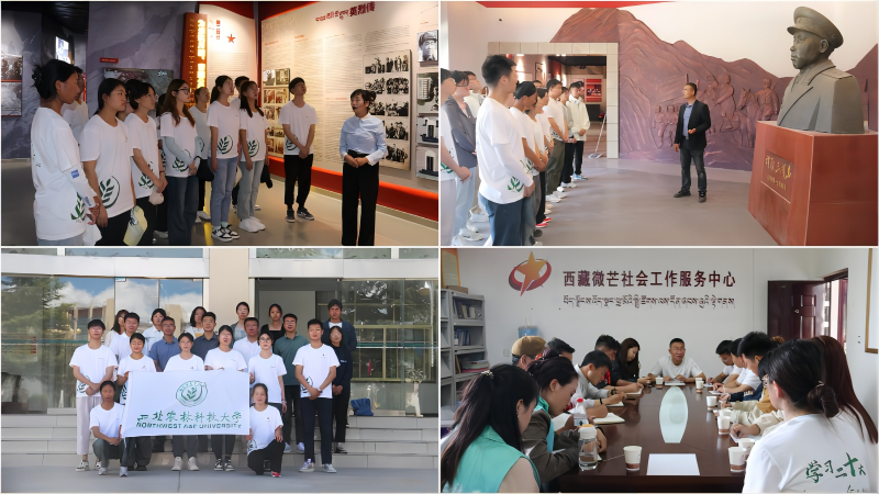 6b63a04b1f8146a8bc0886e881442df0.png WPS拼图6.png