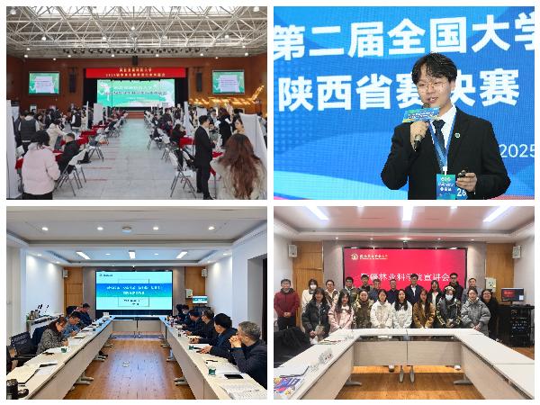 【成人网站
】持续推进2025届毕业生就业工作.jpg